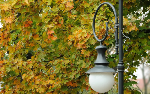 506376 (a): :2560x1600